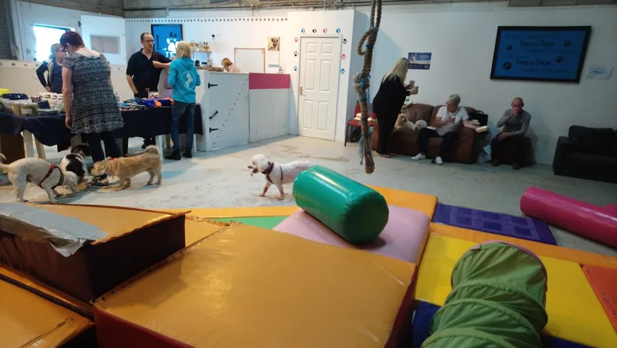 Dogs at Yappy Days day care Stockton-on-Tees